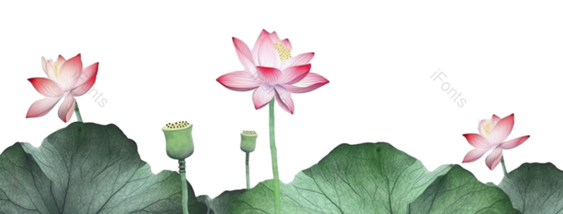 叶子图片,元素元素,卡通PNG,清新免抠素材